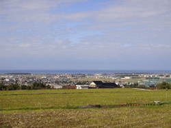 DSC01861.JPG